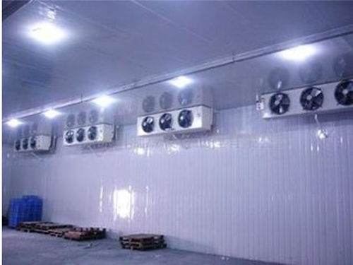 广州冷库维修专家在线服务，专业技术保障冷链无忧